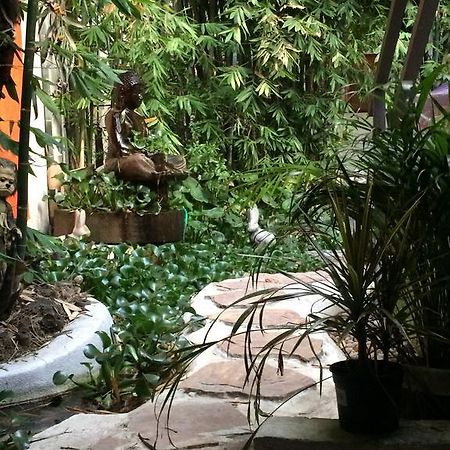 Mi Aldea Holistica Hotel Mexico City Exterior photo