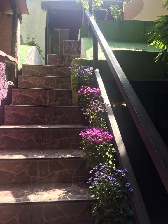 Mi Aldea Holistica Hotel Mexico City Exterior photo