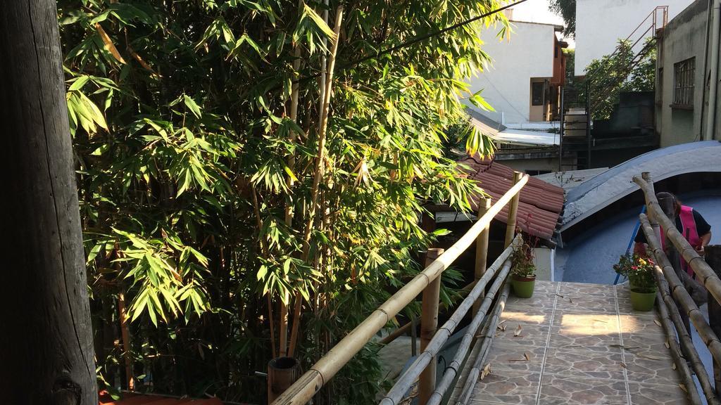 Mi Aldea Holistica Hotel Mexico City Exterior photo