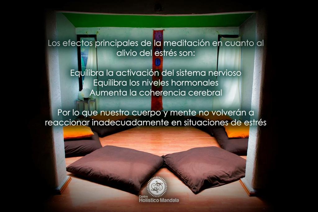 Mi Aldea Holistica Hotel Mexico City Exterior photo