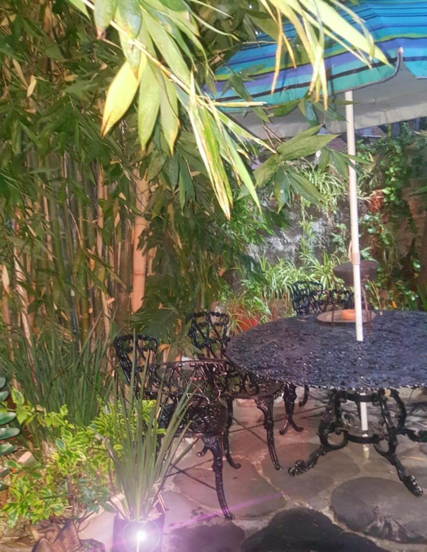Mi Aldea Holistica Hotel Mexico City Exterior photo