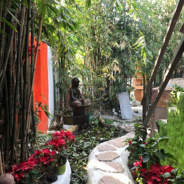 Mi Aldea Holistica Hotel Mexico City Exterior photo