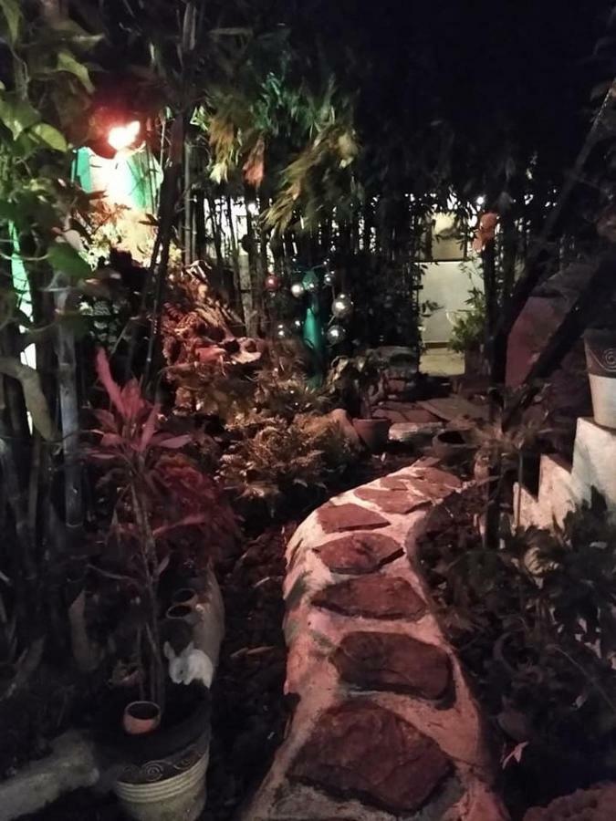 Mi Aldea Holistica Hotel Mexico City Exterior photo